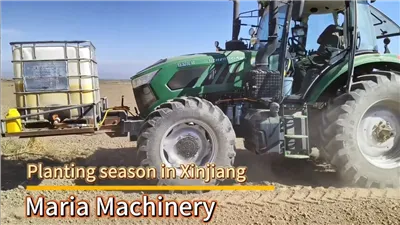 11 rindu precīzs ķiploku stādītājs stādīšanas sezonā Sjiņdzjanā 200 Akru lauk...