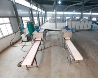 Lielas ķiploka ražošanas līnija