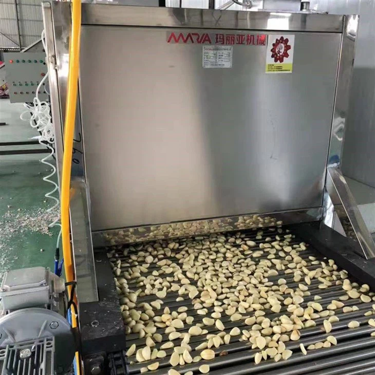 Peeled Garlic Production Line 1000kg/H